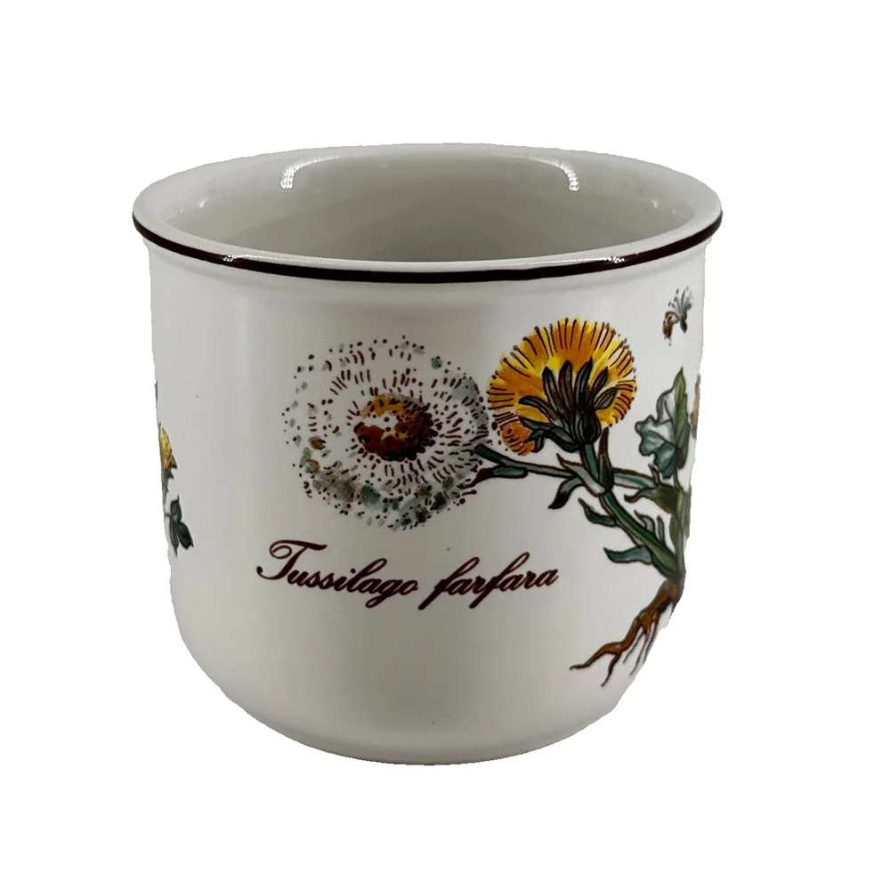 1 mug Villeroy & Boch Botanica Teacup Coffee Mugs Tussilago Farfara